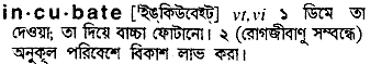 Incubate meaning in bengali