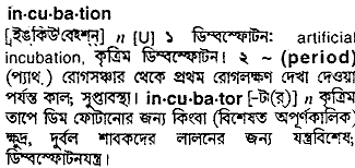 Incubation meaning in bengali