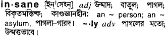 Insane meaning in bengali