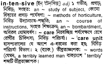 Intensive meaning in bengali