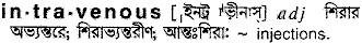 intravenous 
 meaning in bengali