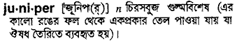 juniper 
 meaning in bengali