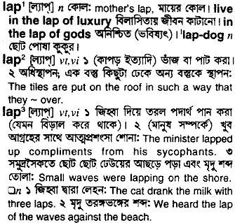 Lap meaning in bengali