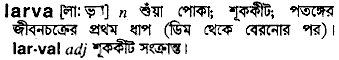 Larva meaning in bengali