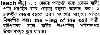 Leach meaning in bengali