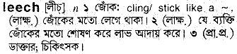 Leech meaning in bengali