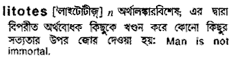 Litotes meaning in bengali