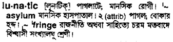 Lunatic meaning in bengali