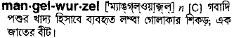 Mangelwurzel meaning in bengali