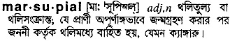 Marsupial meaning in bengali