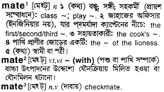 Mate meaning in bengali