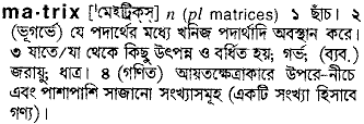 Matrix meaning in bengali