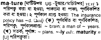 Mature meaning in bengali