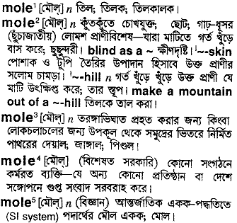 Mole meaning in bengali