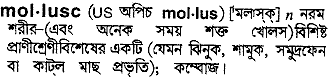 mollusc 
 meaning in bengali