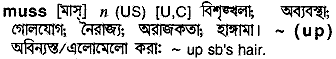 Muss meaning in bengali