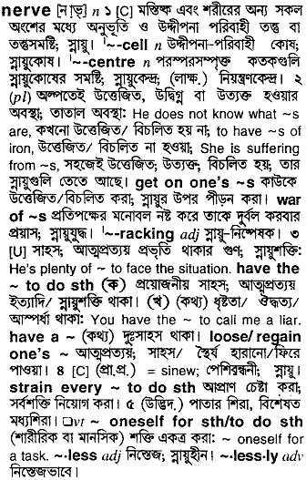 Nerve meaning in bengali