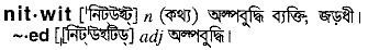 Nitwit meaning in bengali