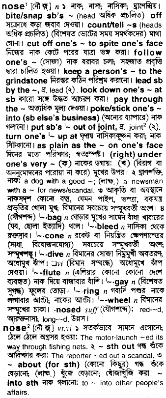 Nose meaning in bengali