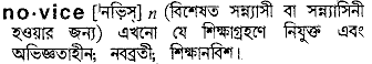 Novice meaning in bengali