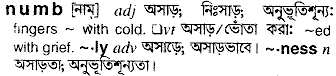 Numb meaning in bengali