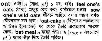 Oat meaning in bengali