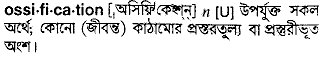 Ossification meaning in bengali