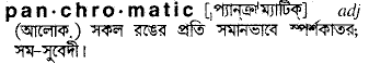 panchromatic 
 meaning in bengali