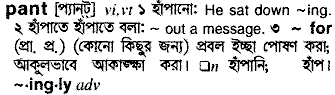 Pant meaning in bengali