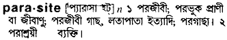 Parasite meaning in bengali