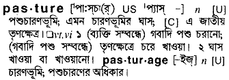 Pasture meaning in bengali