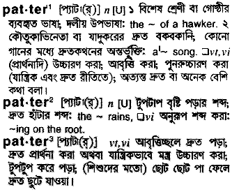 pater 
 meaning in bengali