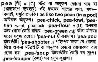 Pea meaning in bengali