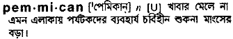 pemmican 
 meaning in bengali