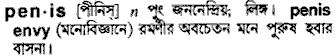 Penis meaning in bengali