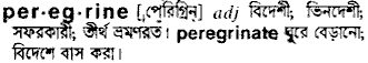 peregrine 
 meaning in bengali