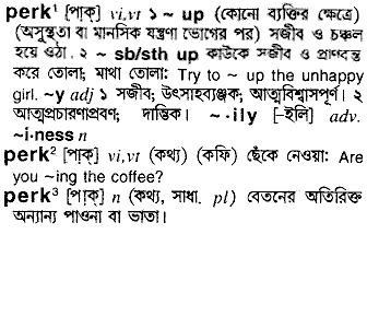 Perk meaning in bengali