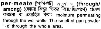 Permeate meaning in bengali