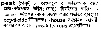 Pest meaning in bengali