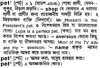 Pet meaning in bengali