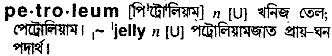 Petroleum meaning in bengali