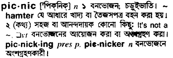 Picnic meaning in bengali