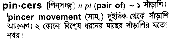 Pincers meaning in bengali