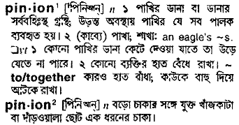 Pinion meaning in bengali