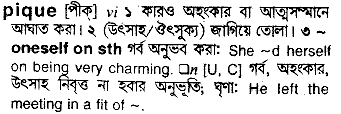 Pique meaning in bengali