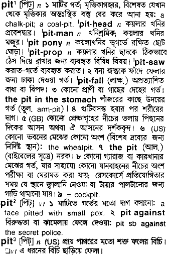 Pit meaning in bengali