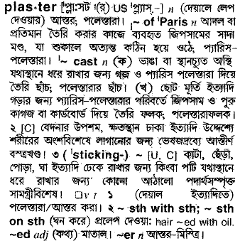 Plaster meaning in bengali