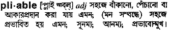 Pliable meaning in bengali