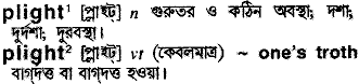 Plight meaning in bengali