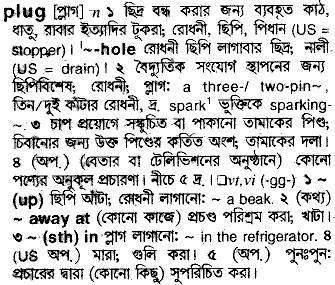 Plug meaning in bengali